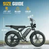 TST R002 1500W electric bike with 20-inch fat tires Off Road Electric Bike
