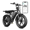 TST GRP - 20 Peak 1500W Full Suspension Moped-style Electric Bike, 48V:15Ah - Black TST R002 1500W electric bike with 20-inch fat tires